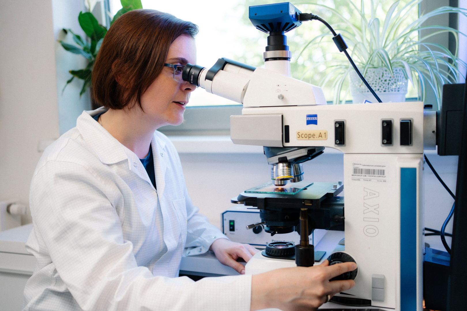 oglądanie pod mikroskopem w laboratorium profix