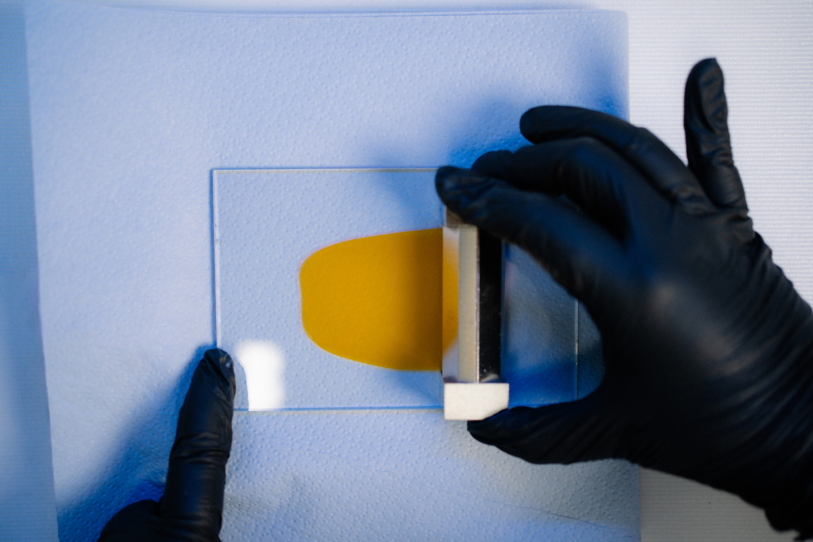 rozprowadzanie próbki farby profix